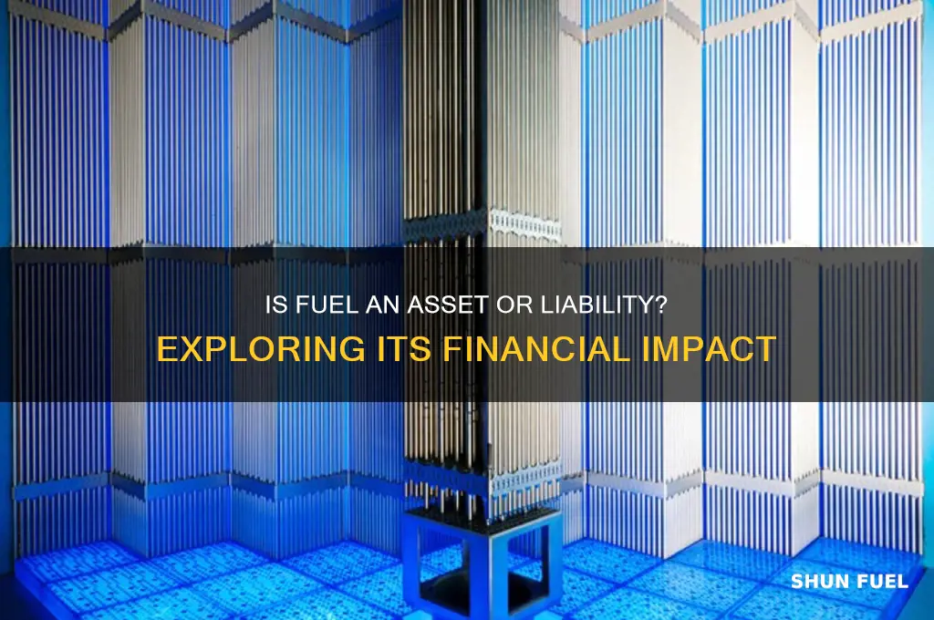 is fuel an asset