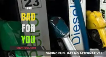Is Fuel Harmful? Uncovering the Health and Environmental Impact