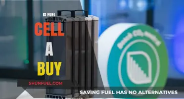 Is Fuel Cell a Buy? Analyzing Investment Potential and Market Trends