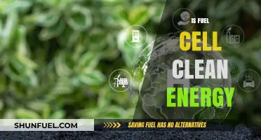 Are Fuel Cells Truly Clean Energy? Exploring Their Environmental Impact