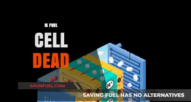 Is Fuel Cell Technology Dead or Just Dormant?