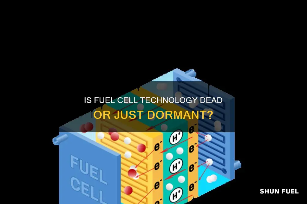 is fuel cell dead