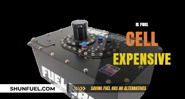 Are Fuel Cells Costly? Exploring the Expense of Clean Energy Technology
