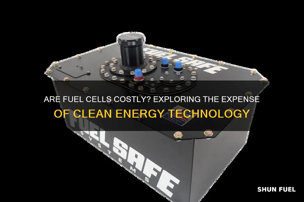 is fuel cell expensive