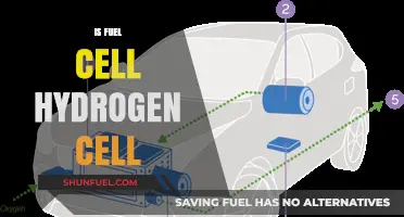 Fuel Cell vs. Hydrogen Cell: Understanding the Key Differences