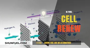 Is Fuel Cell Energy Truly Renewable? Exploring Its Sustainability and Future