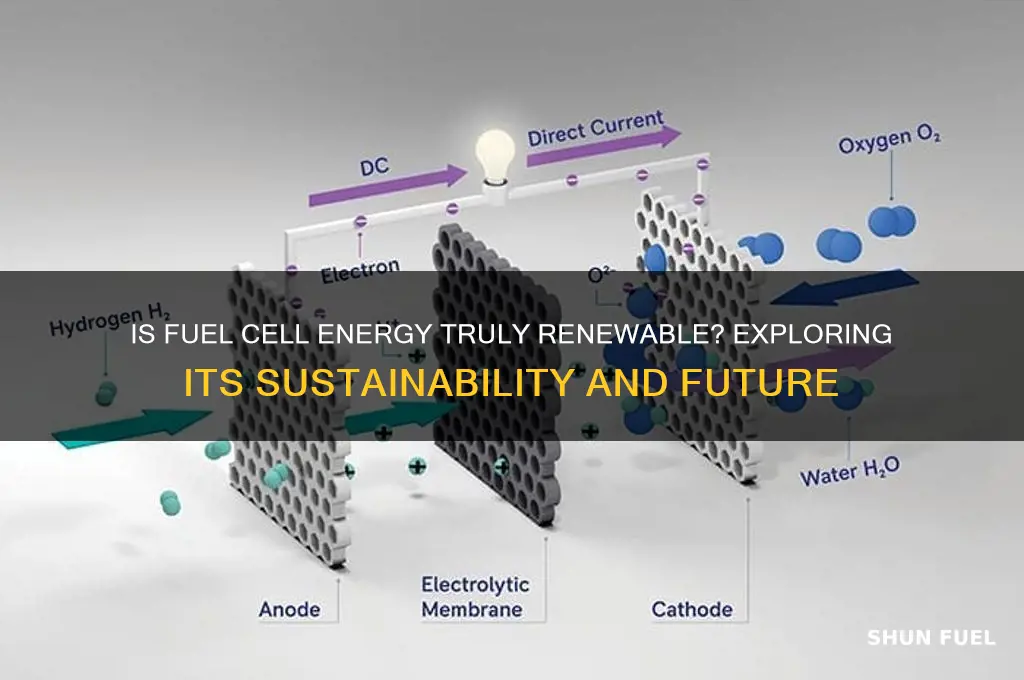 is fuel cell renew