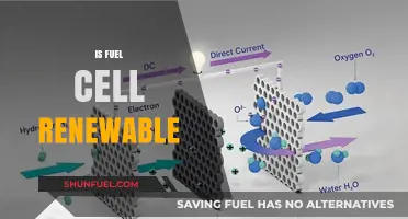 Are Fuel Cells Truly Renewable? Exploring Their Sustainability and Energy Potential
