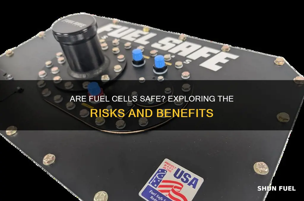 is fuel cell safe
