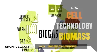 Exploring Fuel Cell Technology: Is Biomass a Viable Energy Source?