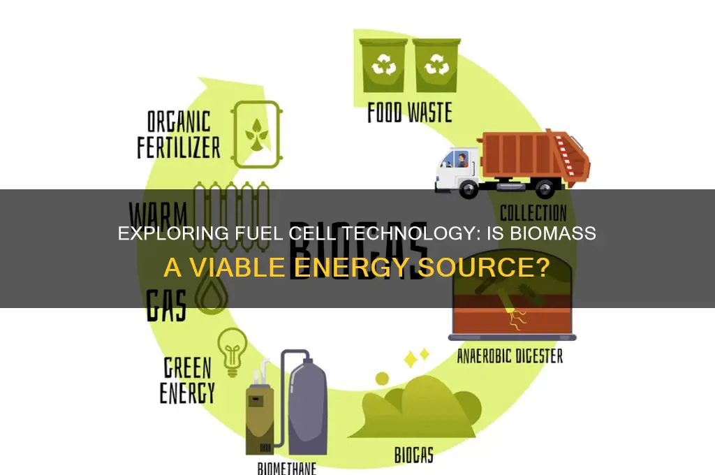 is fuel cell technology biomass