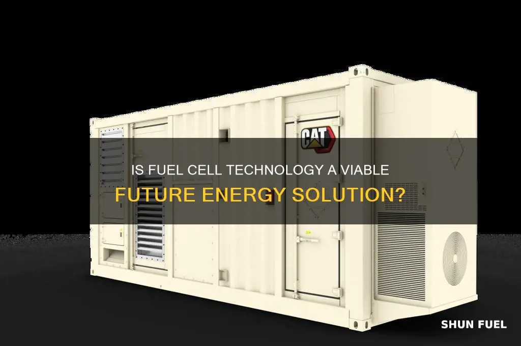 is fuel cell technology viable