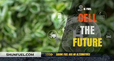 Fuel Cells: The Future of Clean Energy or Just a Fad?