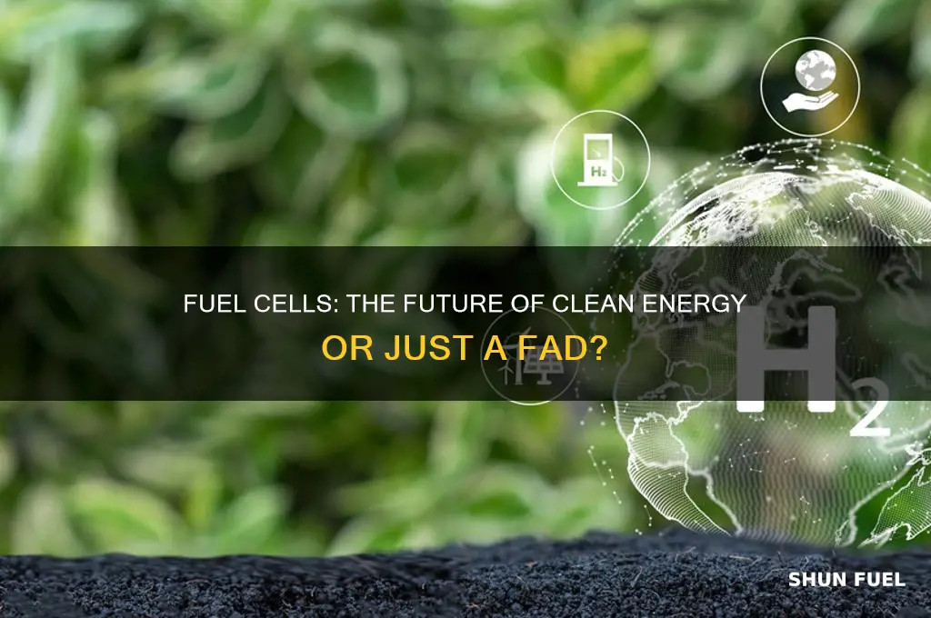 is fuel cell the future