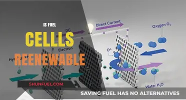 Are Fuel Cells Truly Renewable? Exploring Their Sustainability and Energy Potential