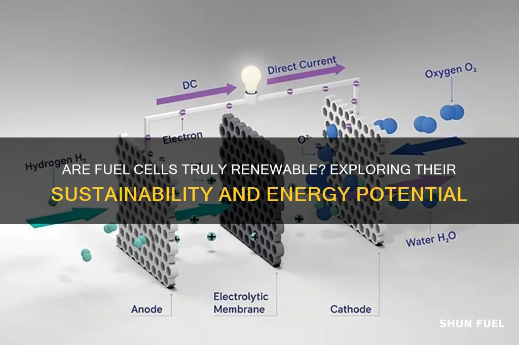 is fuel cellls reenewable
