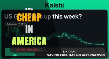 Is Fuel Cheap in America? Exploring Gas Prices and Affordability