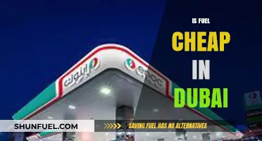 Is Fuel Cheap in Dubai? Exploring Gas Prices and Affordability