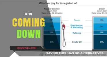 Is Fuel Coming Down? Analyzing Recent Price Trends and Future Predictions