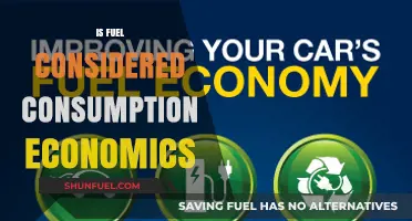 Is Fuel Consumption a Key Factor in Economic Analysis?