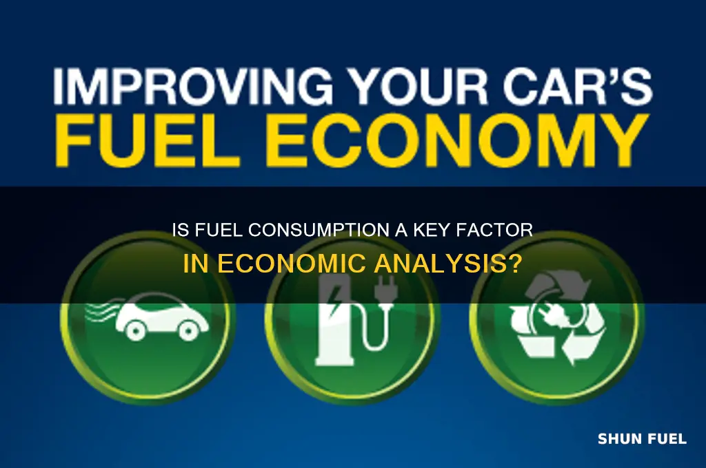 is fuel considered consumption economics