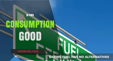Is Fuel Consumption Good? Exploring Efficiency, Environment, and Economy