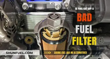 Fuel Filter Clog: Why Your Engine May Cut Off