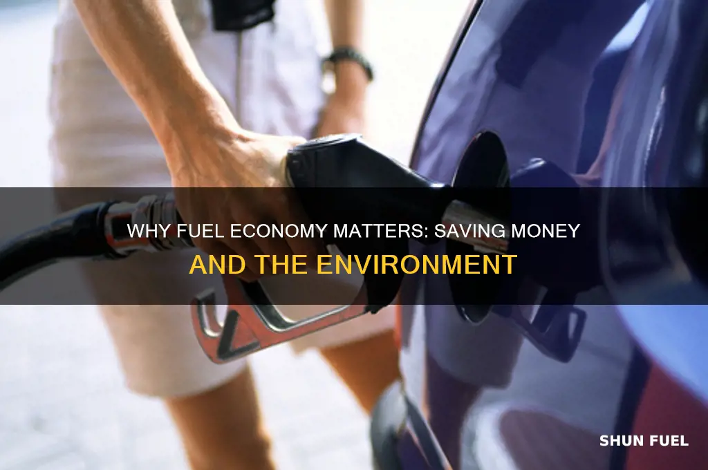 is fuel economy important