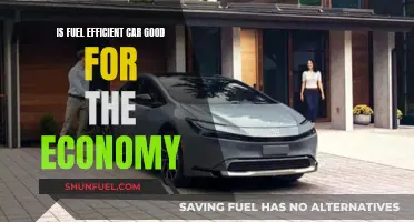 Fuel Efficiency: Economy's Friend or Foe?