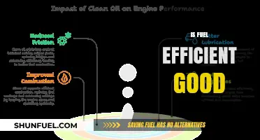 Is Fuel Efficiency Good? Exploring Benefits, Trade-offs, and Environmental Impact