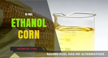 Is Fuel Ethanol Made from Corn? Unraveling the Biofuel Debate
