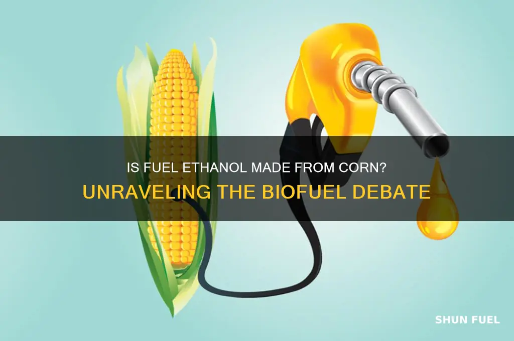 is fuel ethanol corn