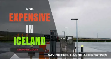 Is Fuel Expensive in Iceland? Exploring Costs and Travel Tips
