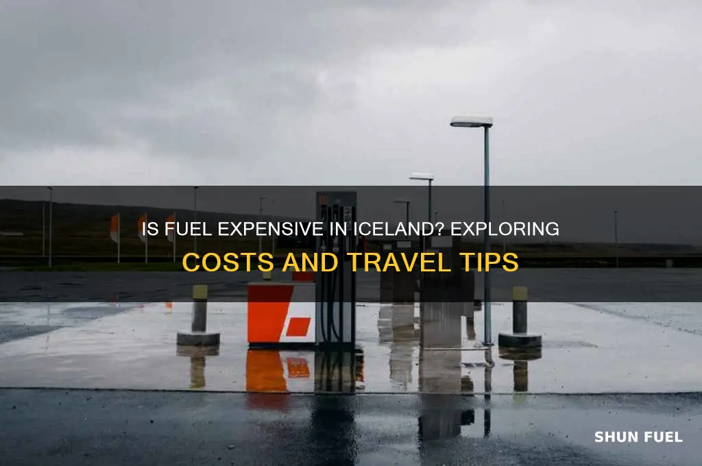 is fuel expensive in iceland