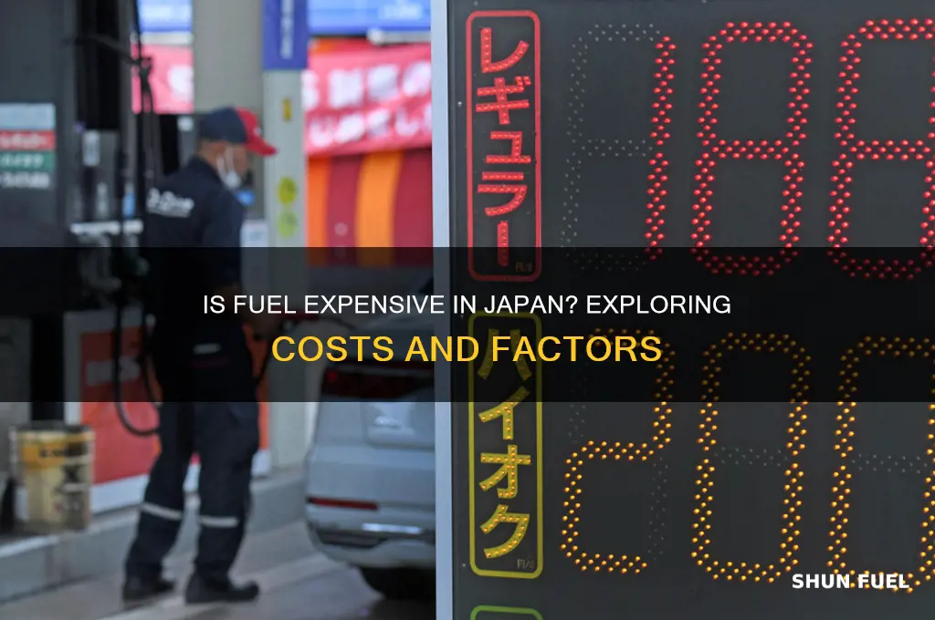 is fuel expensive in japan