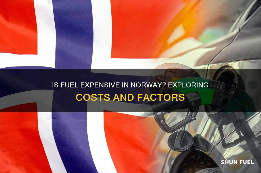is fuel expensive in norway