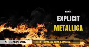 Is Fuel Explicit? Analyzing Metallica's Lyrics and Content Ratings