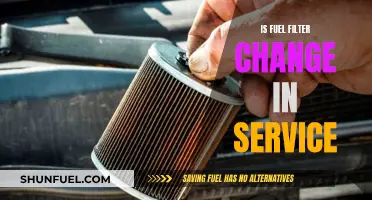 Fuel Filter Change: Essential Service or Unnecessary Task?