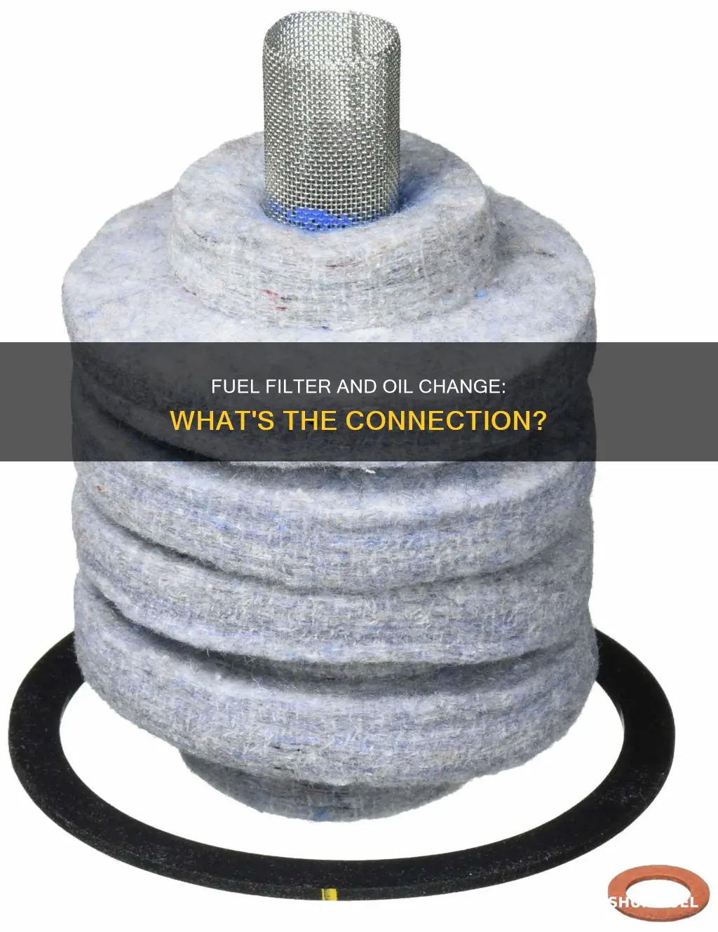 is fuel filter included in oil change