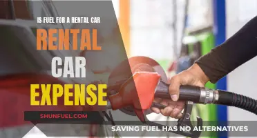 Fuel Costs: Rental Car Expense or Personal Luxury?