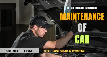 Auto Fuel Costs: Are They Part of Car Maintenance?