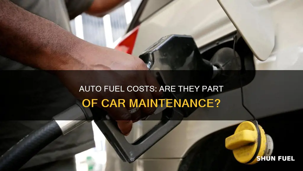 is fuel for auto included in maintenance of car