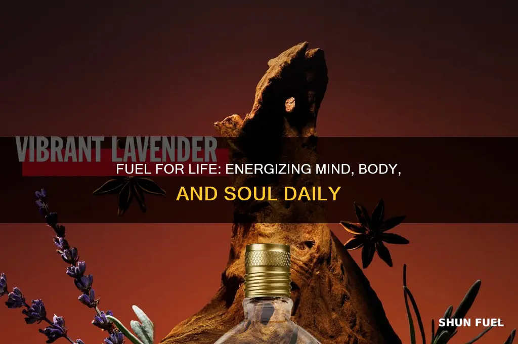 is fuel for our life
