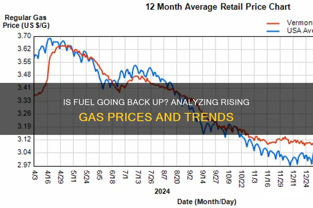 is fuel going back up