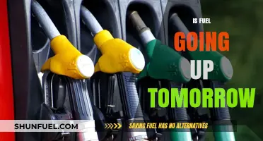 Fuel Price Hike Alert: Will Costs Rise Tomorrow? Stay Informed!