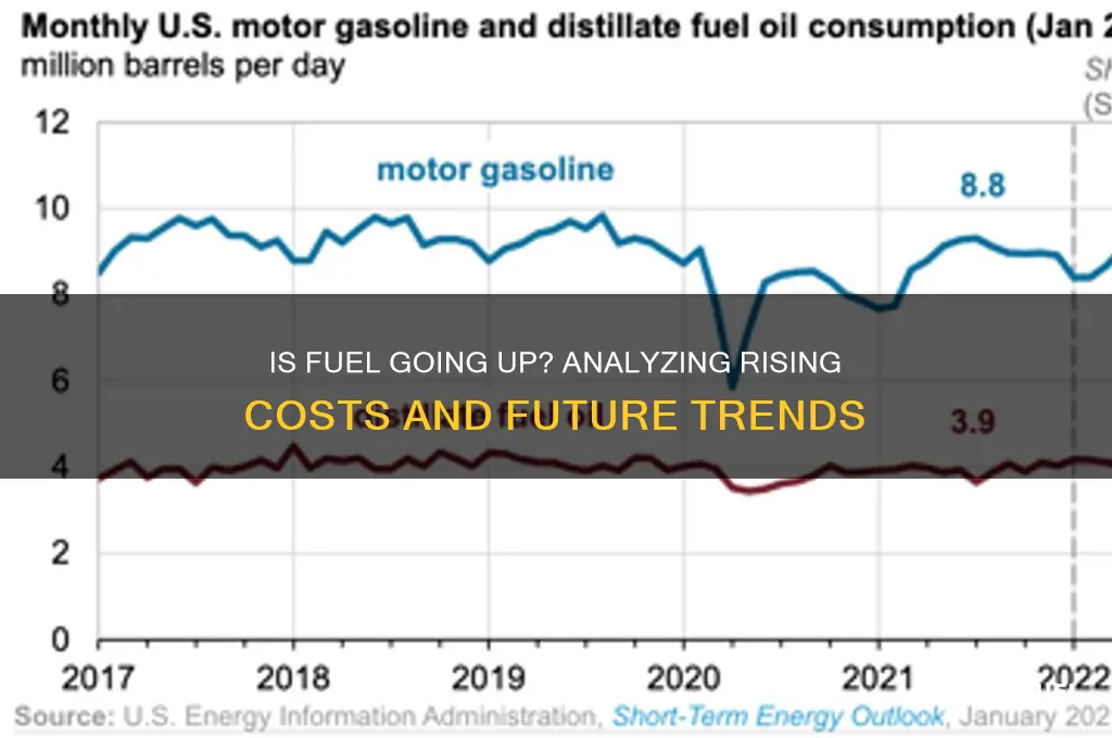 is fuel going up
