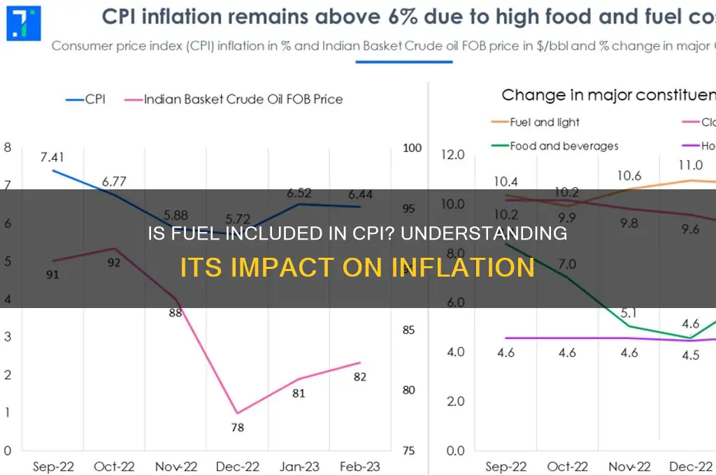 is fuel included in cpi