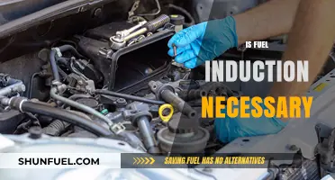Is Fuel Induction Necessary? Exploring Benefits and Real-World Applications