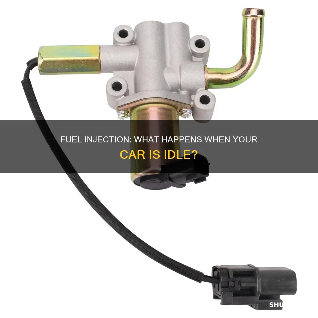 is fuel injected in the car when its idle