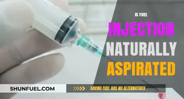 Fuel Injection and Natural Aspiration: Understanding the Relationship